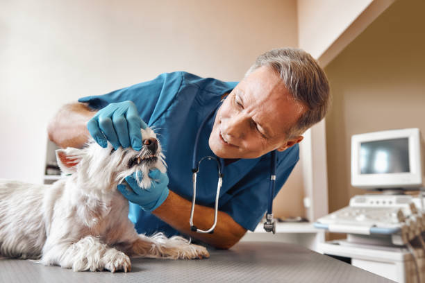 Best Emergency Broken Tooth Repair in Berkeley, MO